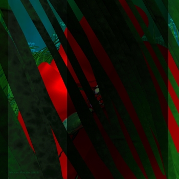 Scarab&eacute;e cach&eacute;